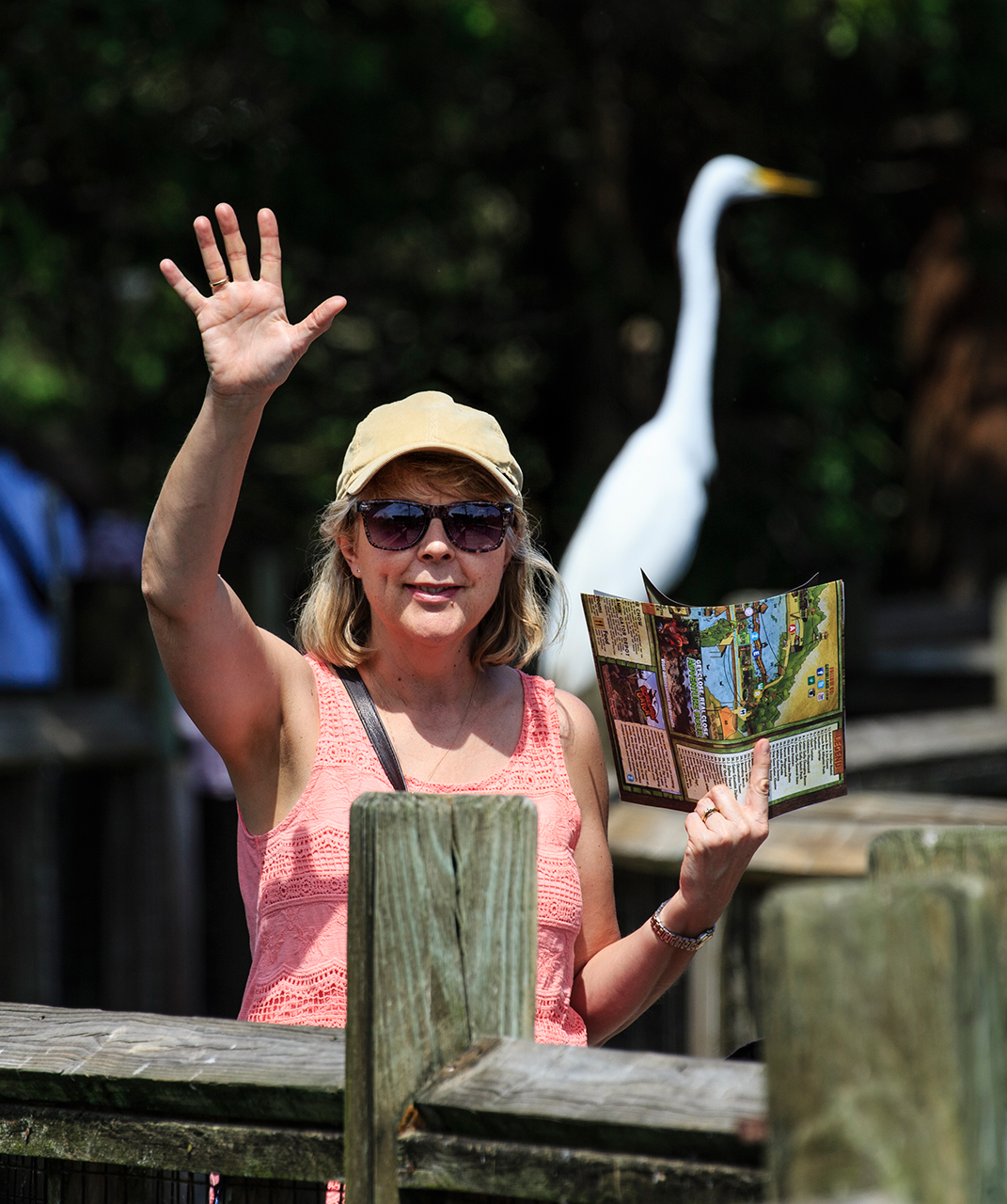 Gatorland Bechtolds 2016_0007_web