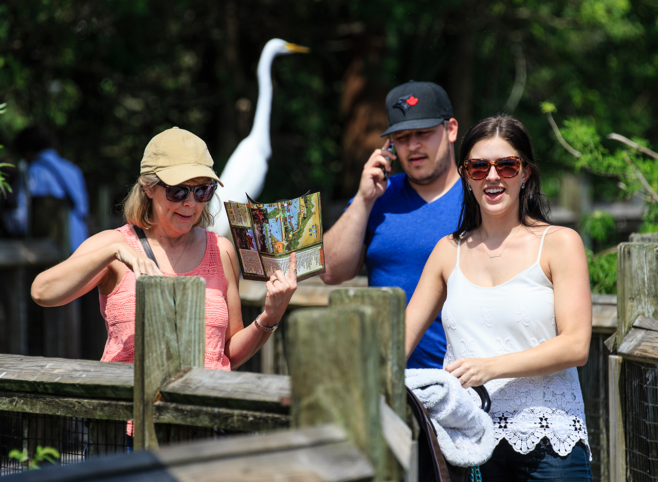 Gatorland Bechtolds 2016_0008_web