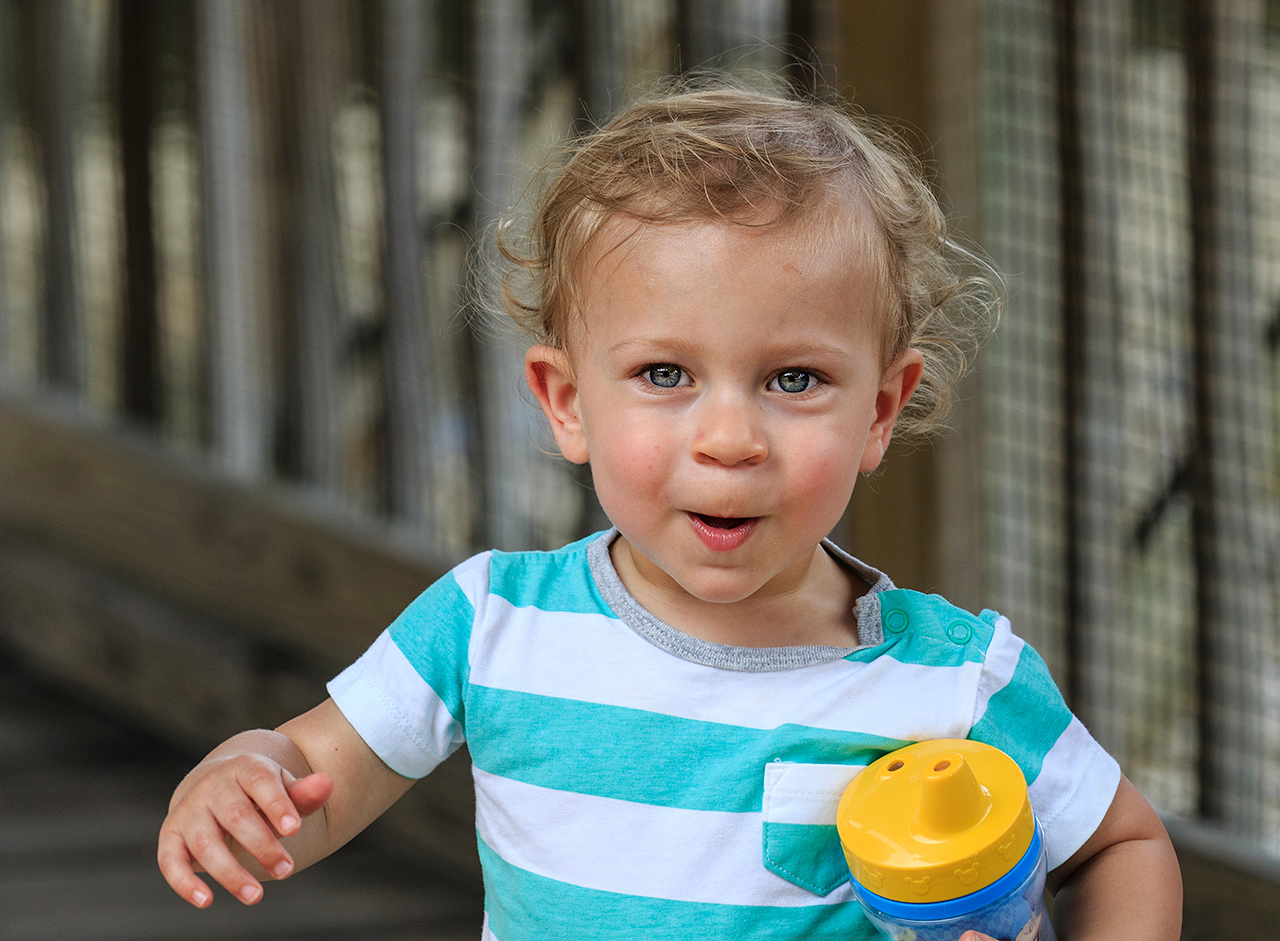 Gatorland Bechtolds 2016_0013_web