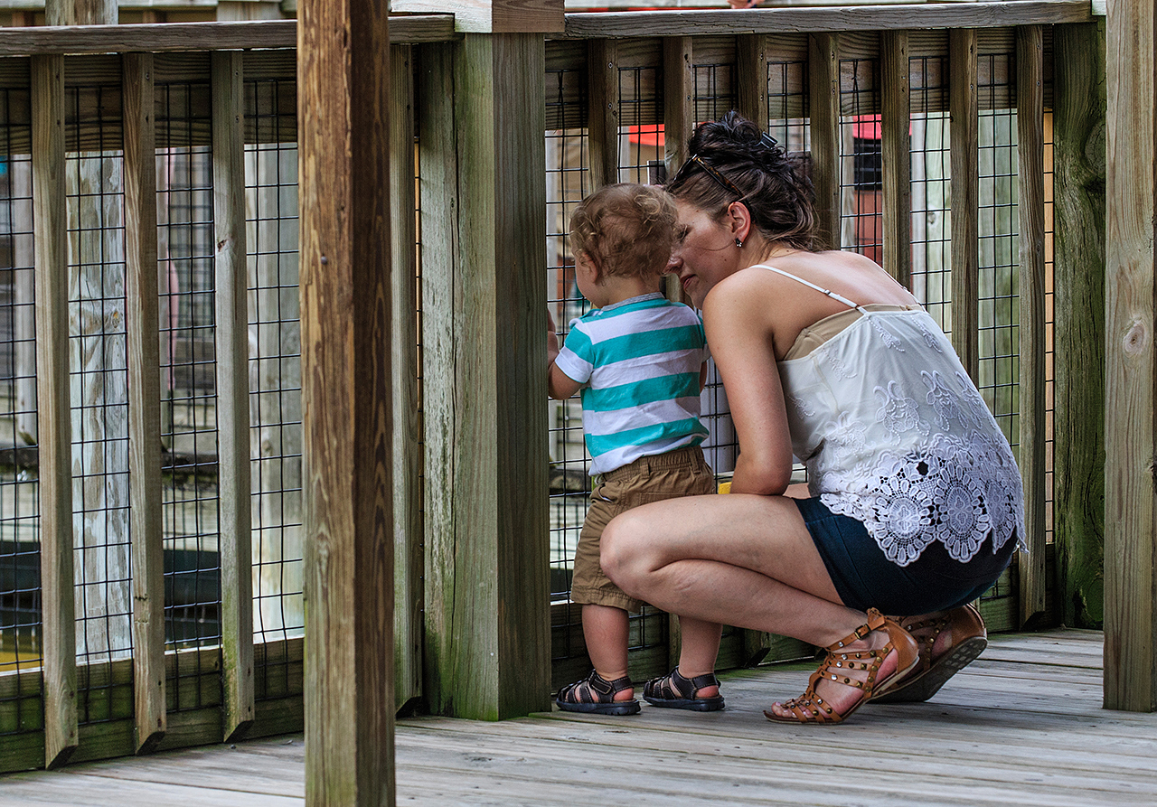 Gatorland Bechtolds 2016_0017_web