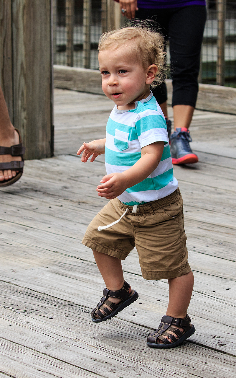 Gatorland Bechtolds 2016_0024_web