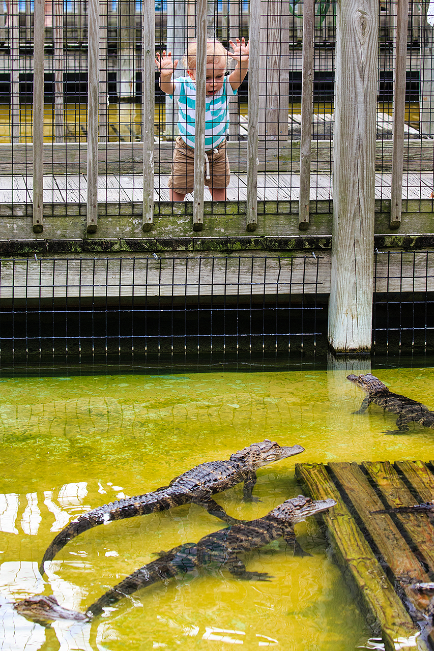 Gatorland Bechtolds 2016_0030_web