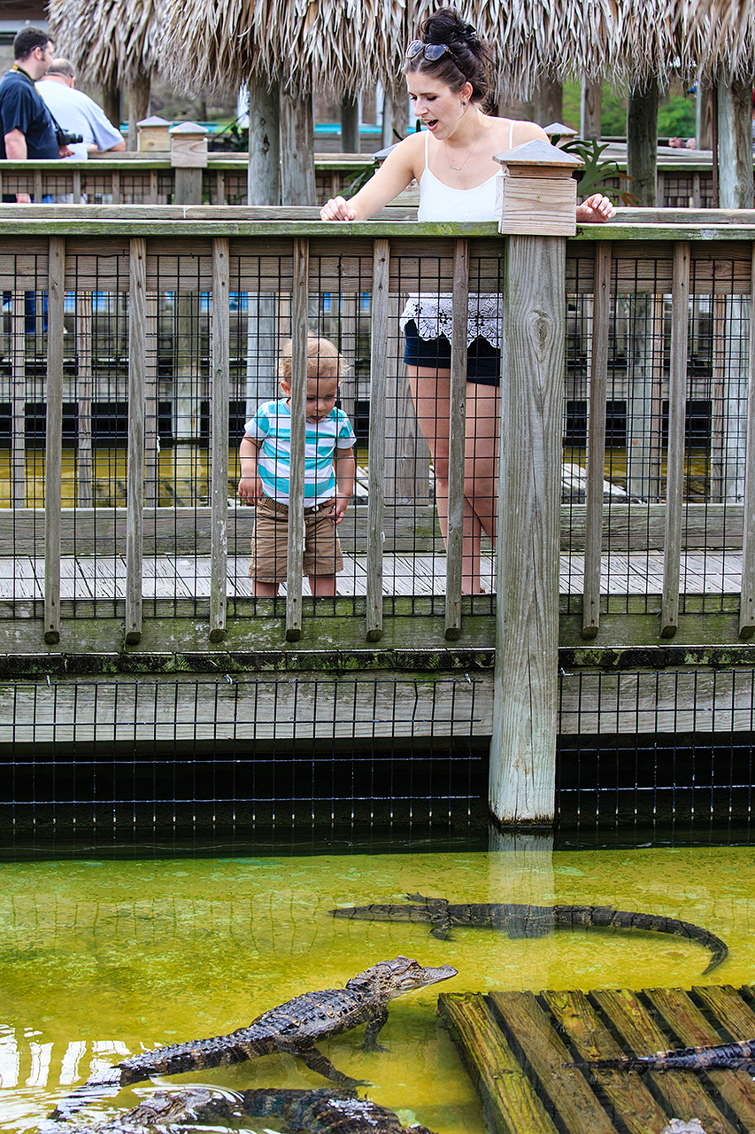 Gatorland Bechtolds 2016_0031_web