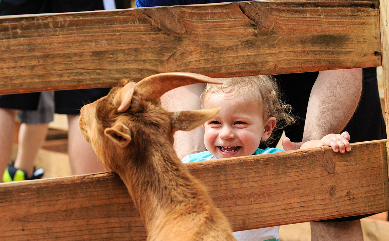 Gatorland Bechtolds 2016_0039_web