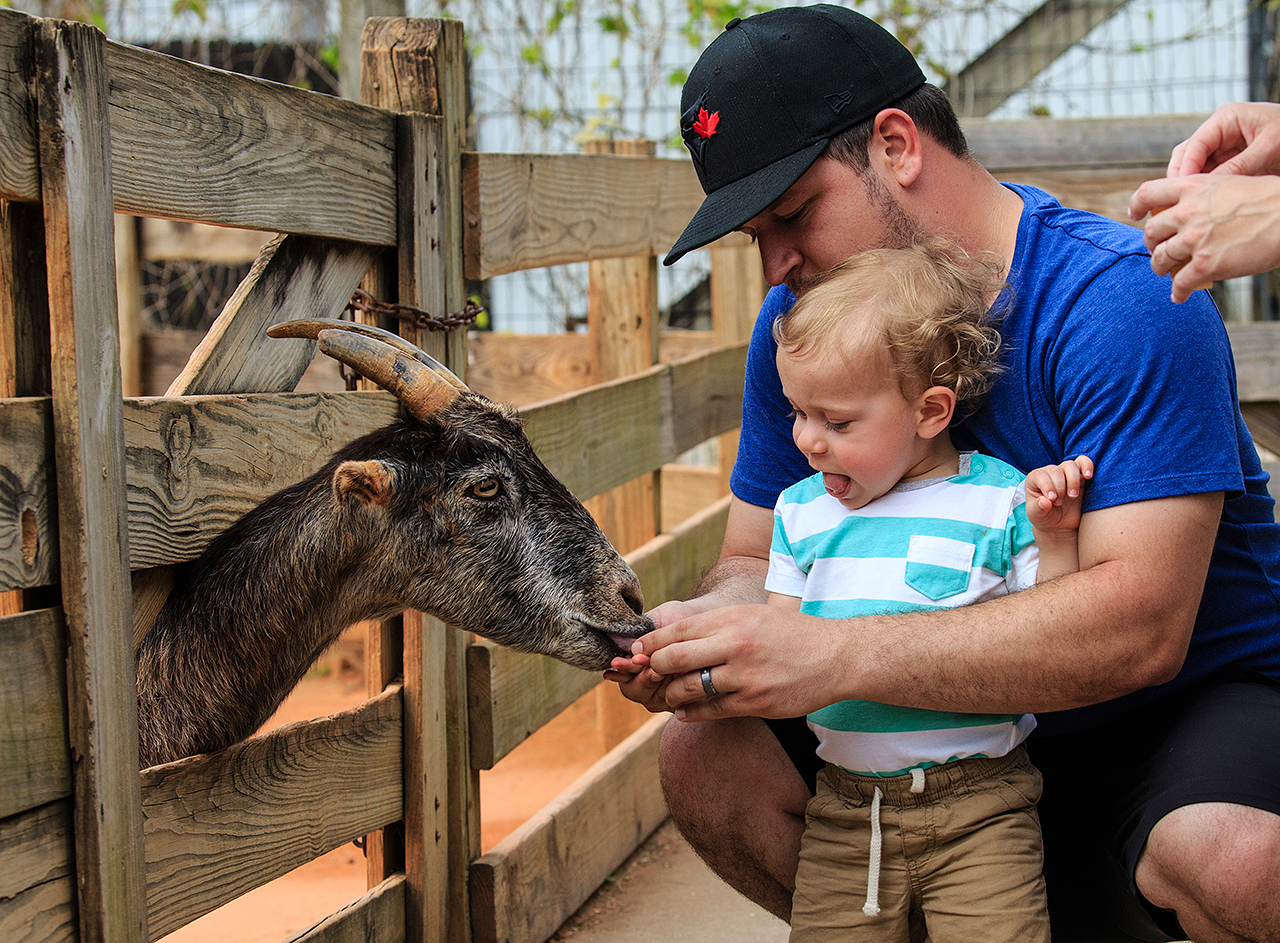 Gatorland Bechtolds 2016_0055_web