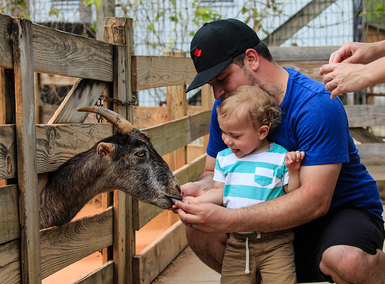 Gatorland Bechtolds 2016_0056_web