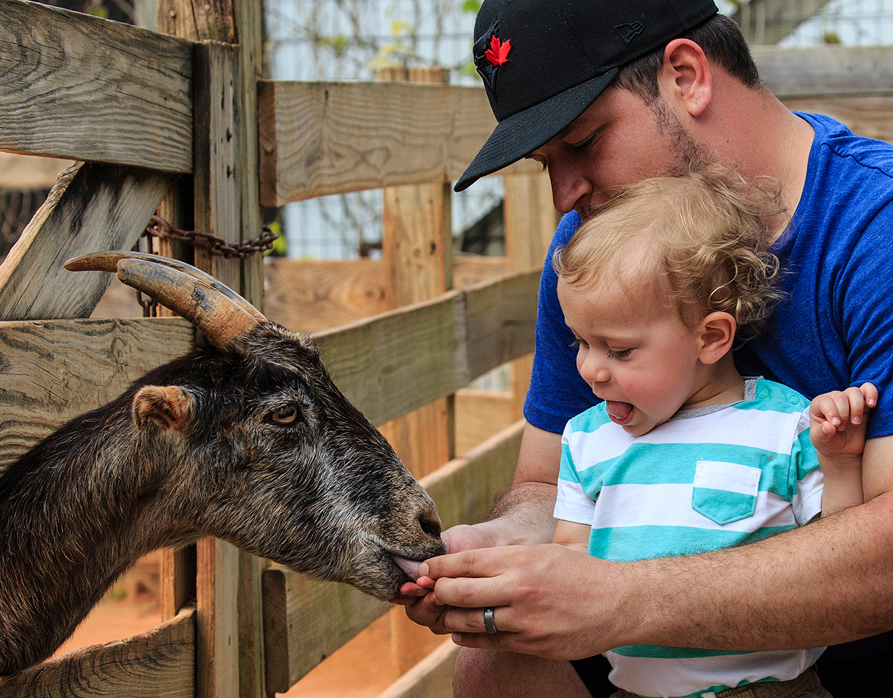 Gatorland Bechtolds 2016_0057_web