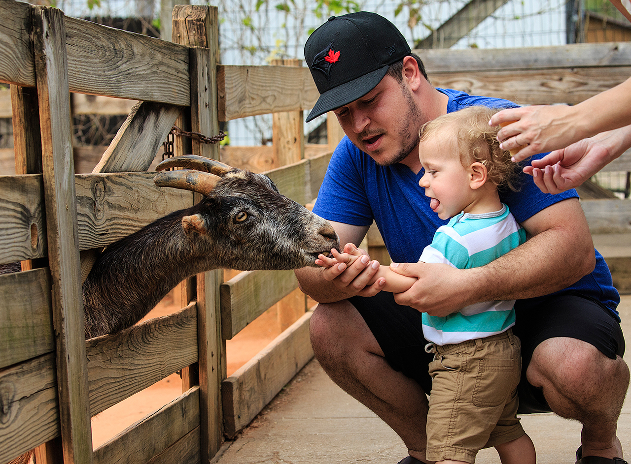 Gatorland Bechtolds 2016_0059_web