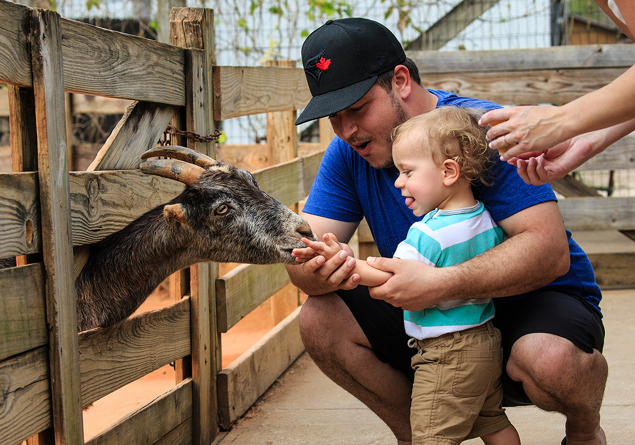 Gatorland Bechtolds 2016_0062_web