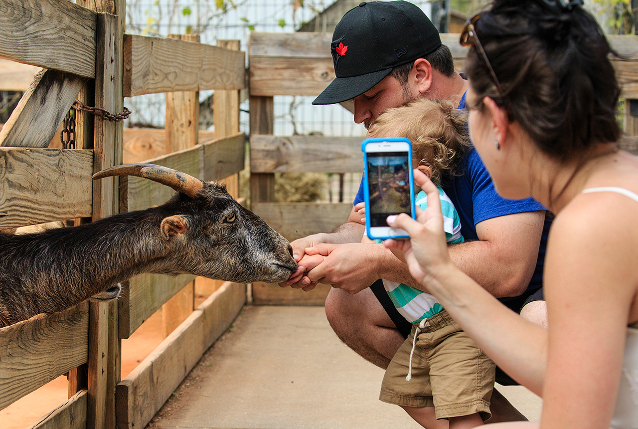 Gatorland Bechtolds 2016_0070_web