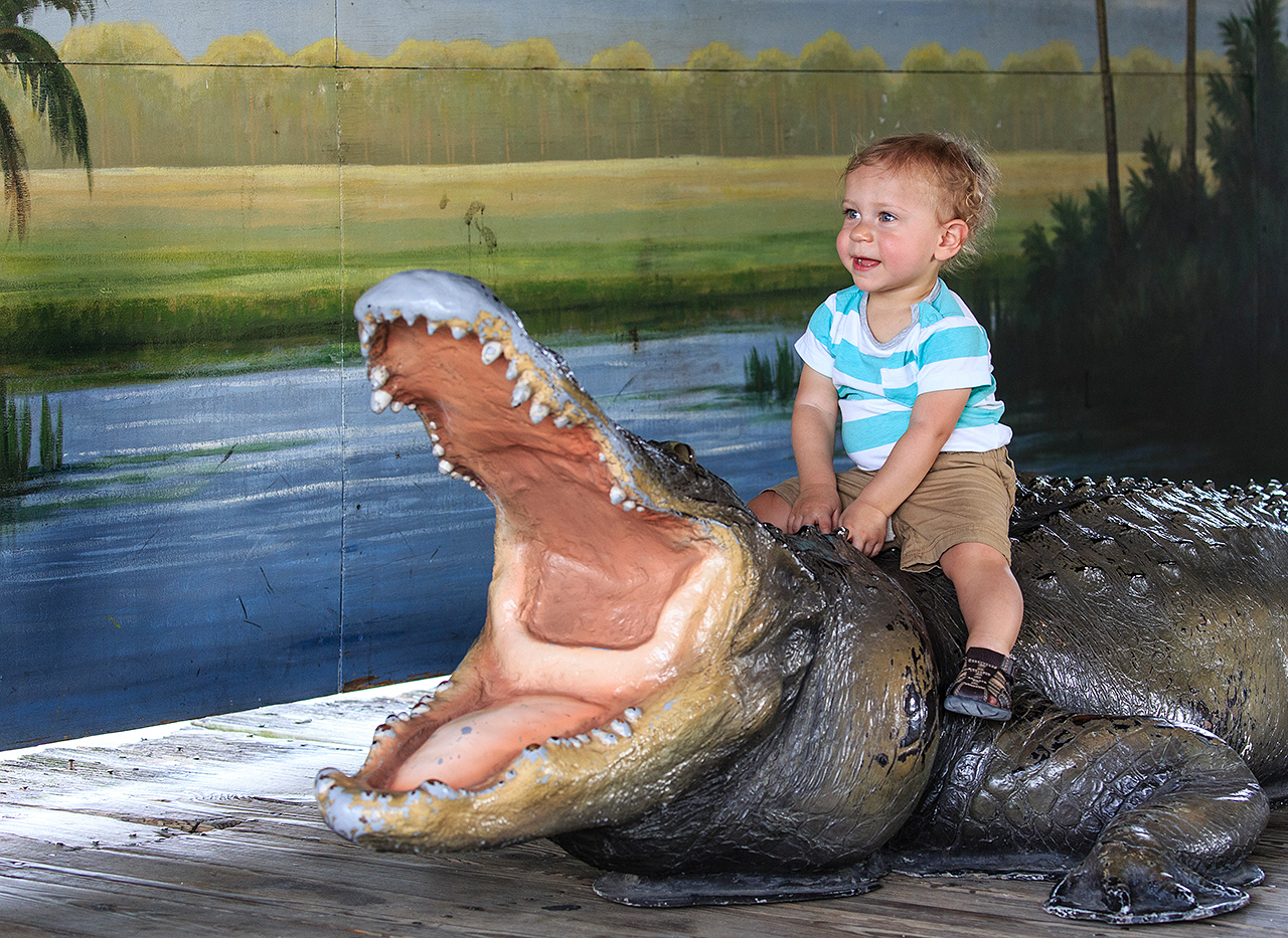 Gatorland Bechtolds 2016_0088_web