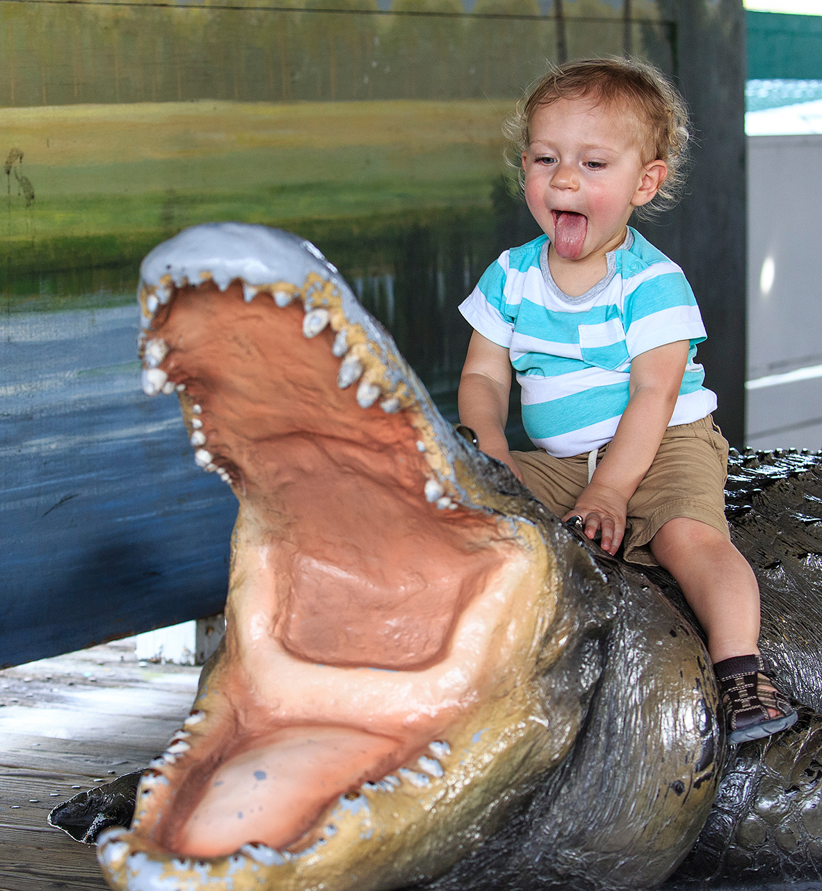 Gatorland Bechtolds 2016_0090_web