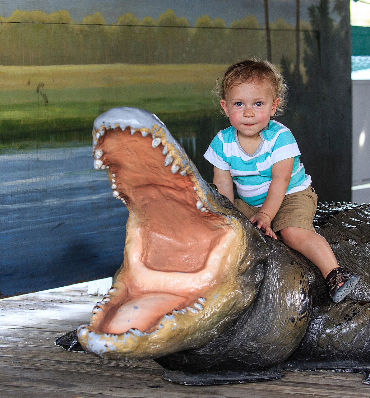 Gatorland Bechtolds 2016_0093_web