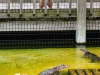 Gatorland Bechtolds 2016_0030_web